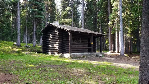 A dark wooden log cabin stands among tall evergreen trees in a forest.