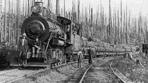 Historic black and white photo of a steam locomotive pulling a train loaded with logs through a burned forest with workers posing nearby.