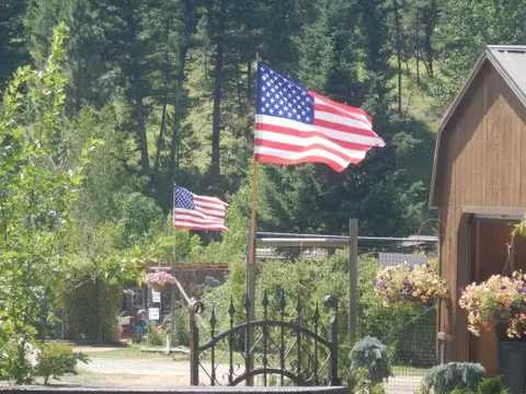 American flags are flying outside near a wooded area and a small wooden structure.