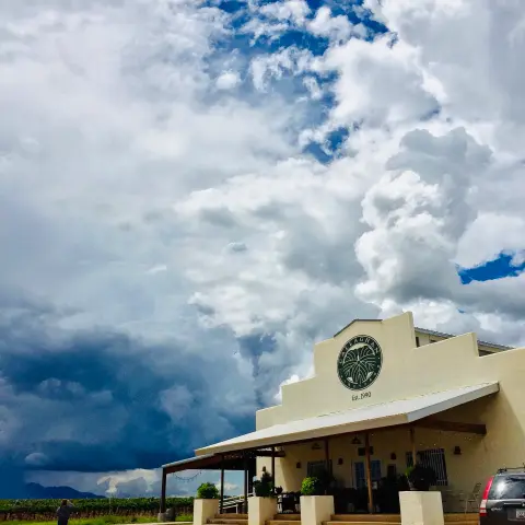 Tasting room at Callaghan Vineyards.
