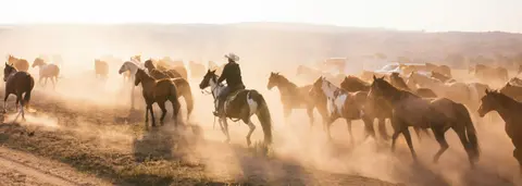 A cowboy rides among a herd of horses kicking up dust.
