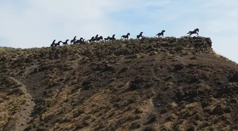 Horse sculptures at Wild Horse Monument.