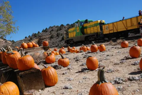 A yellow and green locomotive train sits on tracks behind a field of pumpkins.