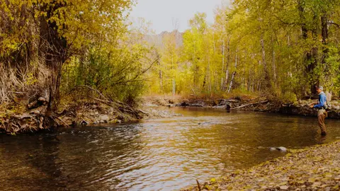 A person fishing in a river surrounded by autumn foliage.