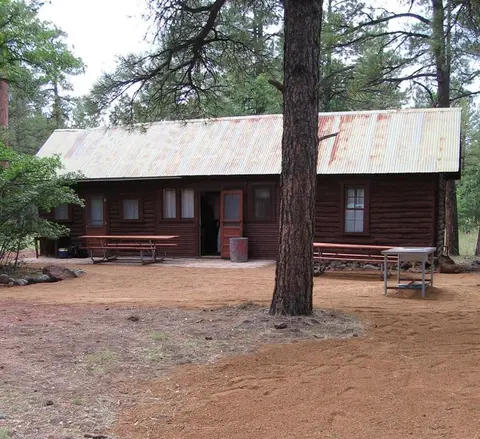 A rustic log cabin with a corrugated metal roof stands in a forest clearing with picnic tables outside.