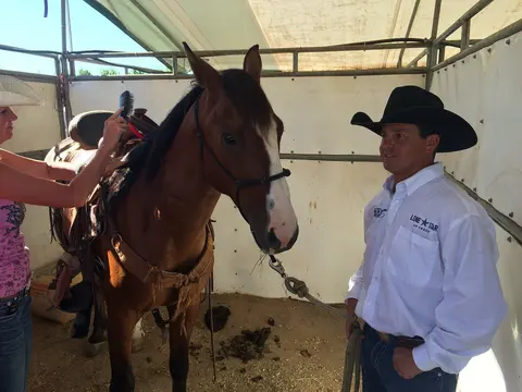 Horse preparation at Snake River Stampede.