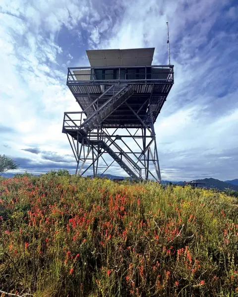 A fire lookout tower stands atop a hill covered with wildflowers and grass under a cloudy sky.