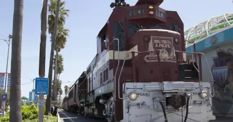 A train stands outside near palm trees and a building.