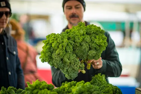A vendor holds up a bunch of fresh kale at a market stall.