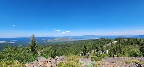 A scenic view of a vast forested landscape under a clear blue sky.