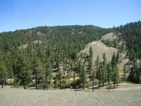 A landscape photograph of a forested hill under a clear blue sky.