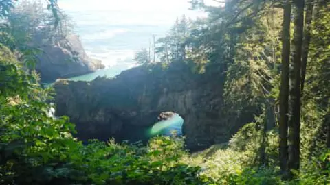 A scenic view of a rocky coastline and arch viewed through trees.