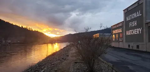 A sunset over a river next to a building with lettering on the side.
