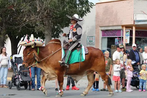 A man in a charro suit rides a bull on a street during an outdoor event.