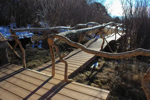 A rustic wooden bridge crosses a small area with brush and snow.