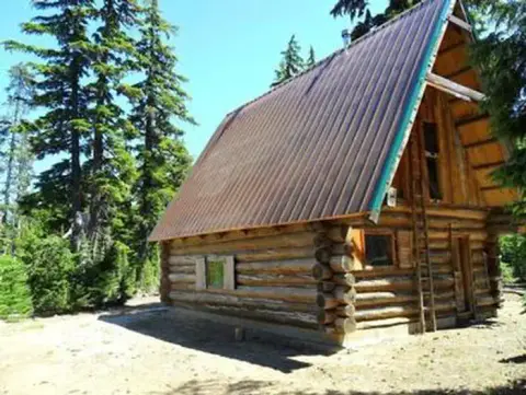 A rustic log cabin stands in a wooded area among tall pine trees.
