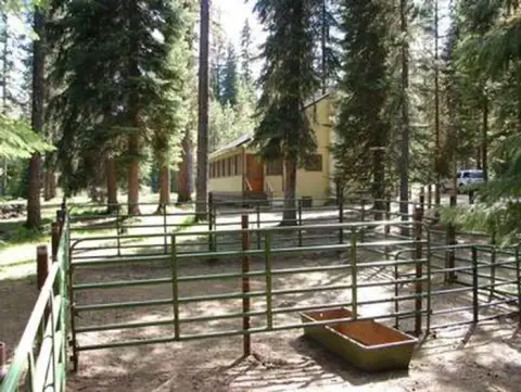 A metal corral and a building are surrounded by trees in a forest.