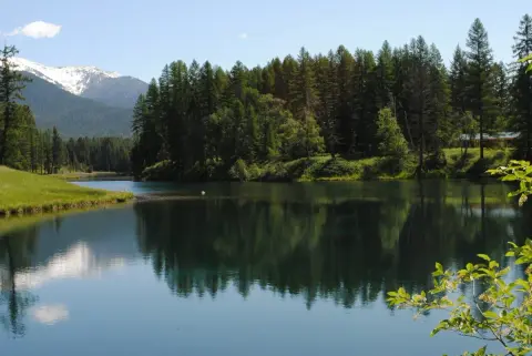 A serene lake reflecting a dense pine forest with snow-capped mountains in the background.