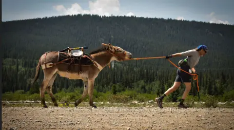 A person pulls a pack-laden donkey along a mountain trail.