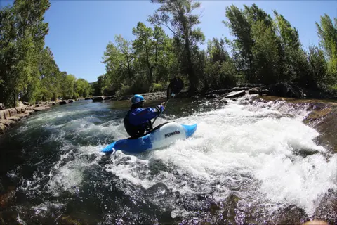 A person kayaking in whitewater rapids surrounded by trees.