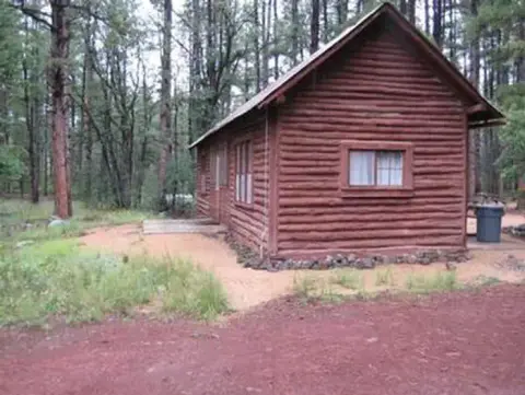 A brown log cabin stands in a pine forest.