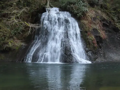A waterfall flows into a pool of water surrounded by mossy rocks and vegetation.