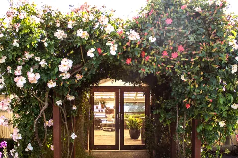 A wooden arbor covered in flowering vines frames a doorway leading into a greenhouse.