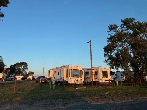 Several recreational vehicles parked in a grassy area under a blue sky.