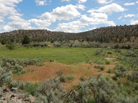 A grassy meadow surrounded by low hills and sagebrush under a cloudy sky.