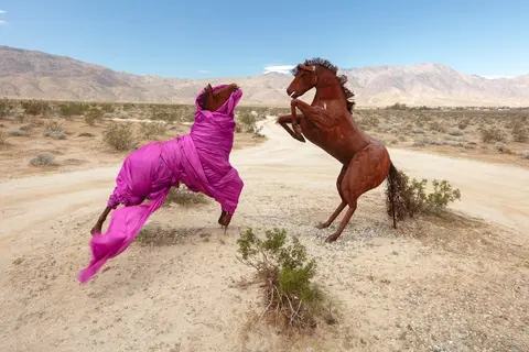 A photo shows metal horse sculptures in a desert landscape.