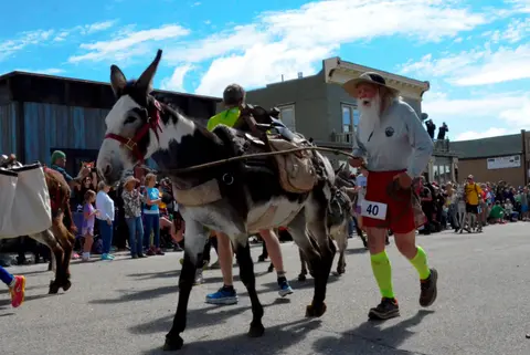 A man with a white beard runs alongside a donkey in a street race.