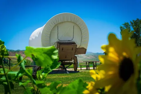A covered wagon sits in a grassy area under a clear blue sky.
