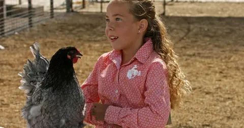 A young girl interacting with a chicken outdoors.
