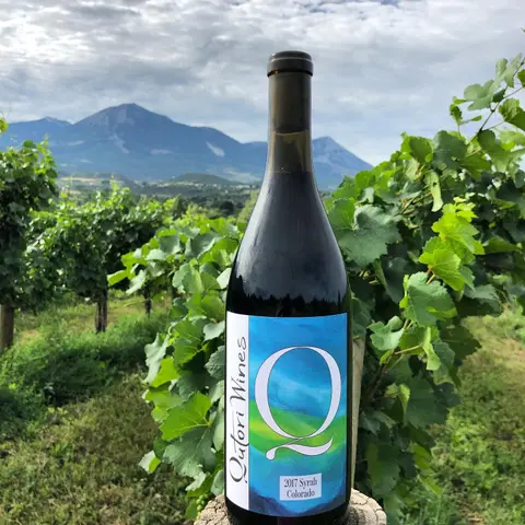 A bottle of wine stands upright outdoors in a vineyard with mountains in the background.