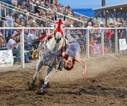 A performer hangs upside down off a running horse at an arena event.