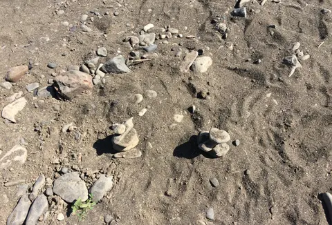 A close-up view of stones and rocks on a sandy ground.