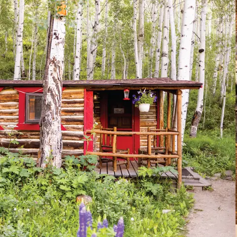 A small log cabin stands surrounded by a grove of tall aspen trees.