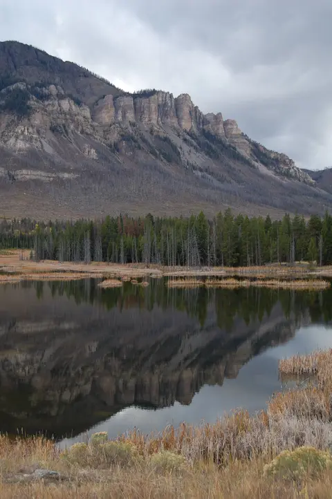 Landscape along Chief Joseph Scenic Byway.