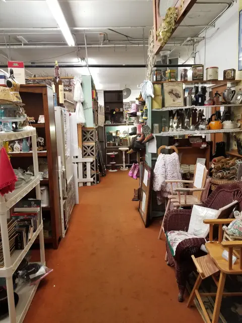 Interior view of an antique store with shelves and displays of various items.