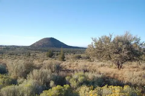 A landscape view of a desert plain featuring dry brush and a conical hill in the distance.