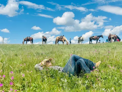 A person lying in a grassy field with horses standing in the background under a blue sky.
