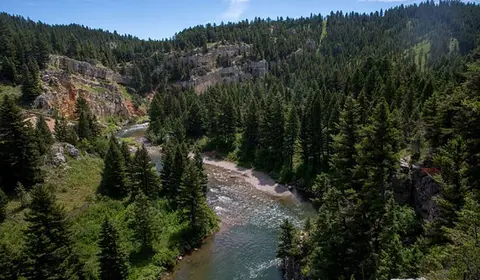 A river flows through a densely forested valley with rocky cliffs.
