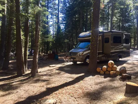 A large RV parked in a forested campground with logs stacked nearby.