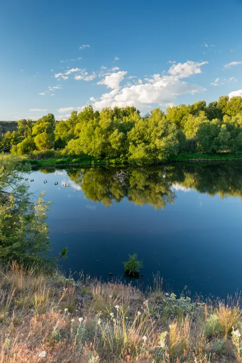 Wildlife pond at Wallowa Hatchery.