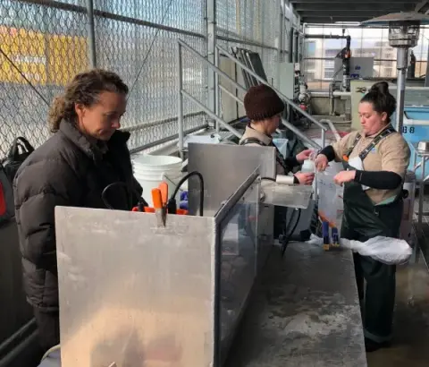 Three people working outdoors around a metal table with equipment.