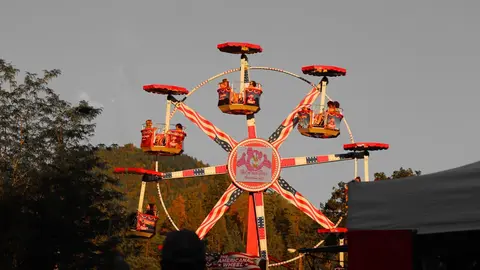 A Ferris wheel with patriotic decorations operating at a fair.