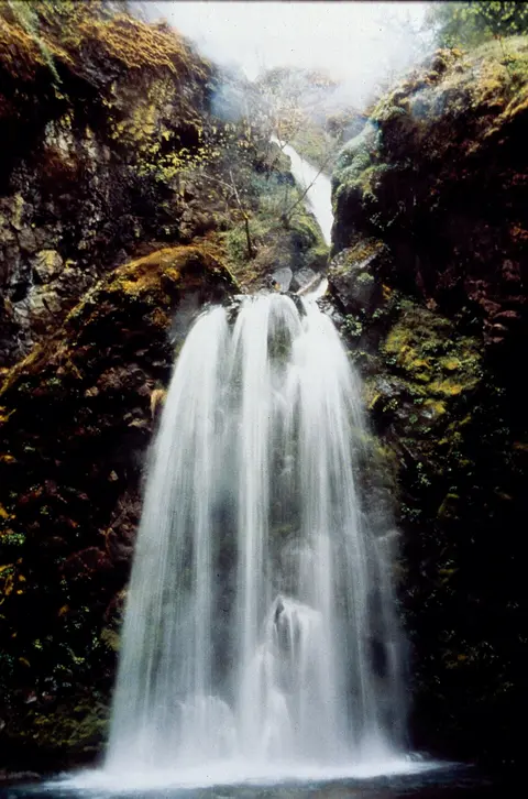 A tall waterfall cascades down a rocky cliffside covered in moss.