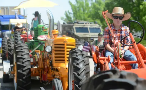 A young boy sits in the driver's seat of an orange tractor in a line of vintage tractors.