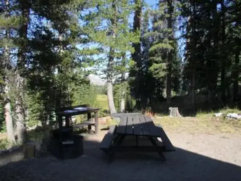 A picnic table and fire ring in a forest clearing.