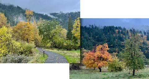 A collage showing a paved walking path winding through trees and a vibrant autumn landscape with misty mountains.